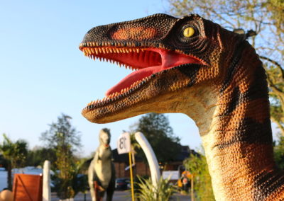 Dinosaur Crazy Golf Nottingham